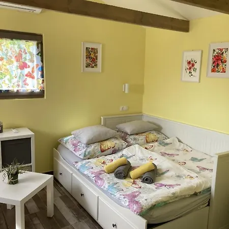 Дом отдыха Neutrino Vendeghaz Занка